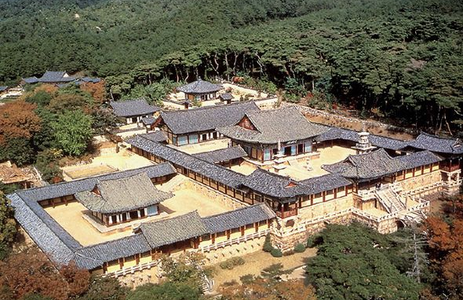 오피카페 핫플레이스 경주불국사