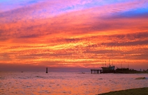 오피카페 강원정동진