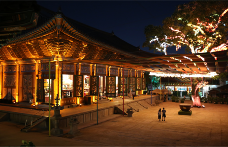 오피카페 핫플레이스 서울조계사